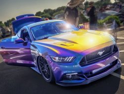 Miley Cyrus and Jaguar car: 11 Surprising Things They Have in Common