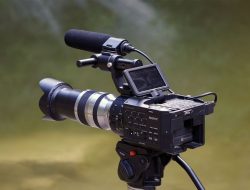 3 Things Everyone Knows About wildlife camera That You Don’t