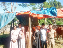 Rutinitas Penuh Keberkahan, H. Aldi Wiharsa Kembali Sembelih Empat Ekor Sapi Kurban di Hari Raya Idul Adha 1447 H