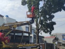 ANTISIPASI POHON TUMBANG, DLHK KOTA DEPOK SIAGAKAN TIM RANGER POHON 24 JAM