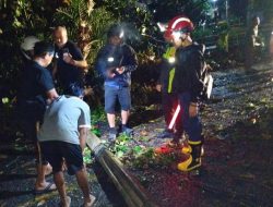 Pemkab Sukabumi Bergerak Cepat Tangani Pohon Tumbang di Jalur Nasional Palabuhanratu–Banten