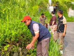 Secara Rutin, Kecamatan Cigombong Gelar Aksi Bersih Jalan Cisalada-Cigombong untuk Wujudkan Lingkungan Asri